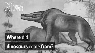 Where did dinosaurs come from? | Natural History Museum