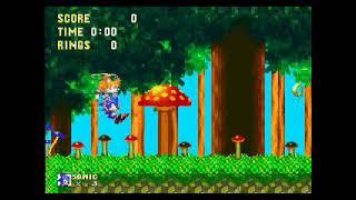 Sonic 3 & Knuckles - How to get Debug mode