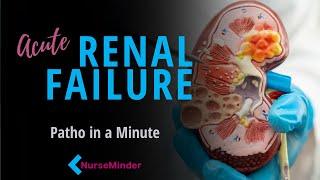 Acute Renal Failure: What Nurses Need