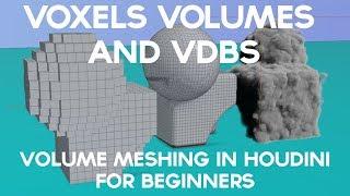 VOXELS VOLUMES AND VDBS!   Volume Meshing Workflows In Houdini for Beginners