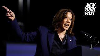 Kamala Harris makes a brutal gaffe in speech to Wisconsin voters: ‘I stood up to veterans’