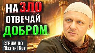 Не обвиняй своего верующего брата | Основы братства | #религия #ислам #вера #счастье #саморазвитие