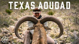 DOUBLE UP on Barbary Sheep - Hunting BIG Aoudad in the Mountains of West Texas