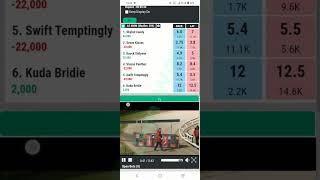 Betpro Account Kese Bnain Ya Play Grayhound Race Betpro Exchange Online Betting Tips And Winning.