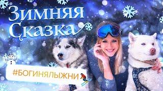 БОГИНЯ ЛЫЖНИ || АЛЛО, ЛЕСЯ || СОБАЧЬИ ГОНКИ