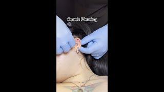 Conch Piercing