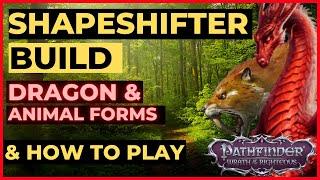 PATHFINDER: WOTR - SHAPESHIFTER Druid Build Guide - DRAGON & Animal Forms - Unfair Viable