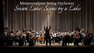 Tchaikovsky - Swan Lake Theme (Metamorphose String Orchestra)