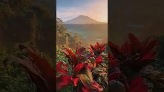 Агунг (Gunung Agung) – это действующий вулкан в восточной части Бали.