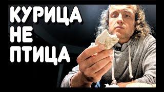 Курица Не Птица