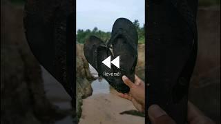 Slippers throw reverse video #reverse #rewind #beach