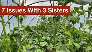 7 Mistakes I Made With The 3 Sisters