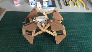 Home made Theo Jansen Mechanism