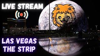 Las Vegas LIVE, The Strip, bike tour, Vegas Live Stream