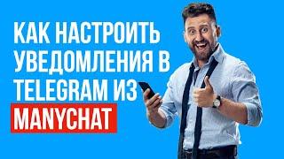 Как настроить уведомления в Telegram из Manychat