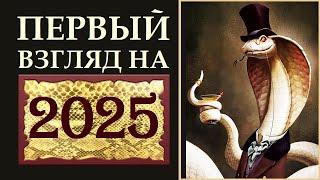 ПЕРВЫЙ ВЗГЛЯД НА 2025 ГОД . ЧТО БУДЕТ И ЧТО ДЕЛАТЬ