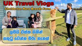 Breeds Farm in Salisbury | 2025 Travels vlogs | මේ අවුරුද්දෙ පලවෙනි Trip එක | SL TO UK