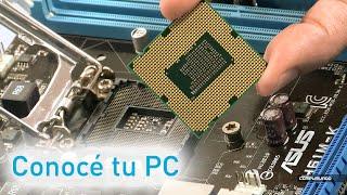 Conocé tu PC por dentro