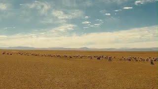Celebrating the Festival of Lights known as Galdan Namchot in northern Xizang's winter pastures