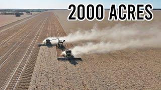 It’s a Big Paddock! | Contract Harvesting Wheat | Harvest 2024 | Vlog 326