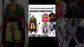 Collecting anime fans(6970/10k)#onepiece#anime#luffy#zoro#sanji#nami#robin#garp#whitebeard#ace