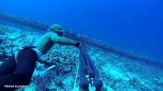 2014 US Spearfishing Nationals, Hawaii, Kona