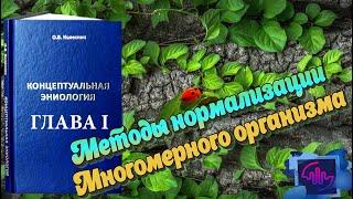 Методы нормализации многомерного организма. Часть 4. Концептуальная Эниология