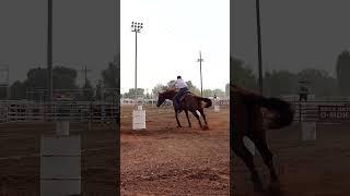 #nsca #omoksee #horse #rodeo #horseshow #western #westernriding #aqha #youtubeshorts #subscribe