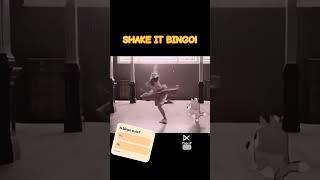 SHAKE IT BINGO!