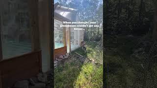 DIY Greenhouse Patio #diy #construction #greenhouse #garden