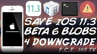 How to Save iOS 11.3 B6 SHSH2 BLOBS FOR FUTURE DOWNGRADES [Tutorial]