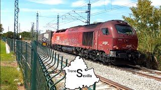 Trenes variados por Mérida y alrededores. Renfe y Captrain