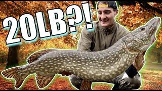 I CAUGHT the GINGER FISHERMAN'S 20LB URBAN canal PIKE!!! - UK winter pike fishing