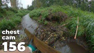 Big Log In The Middle Of The Dam - Manual Beaver Dam Removal No.156 - Chest Cam