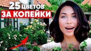 25 САМЫХ лучших цветов для своего роскошного сада!