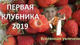 ПЕРВАЯ КЛУБНИКА 2019 Vselennaya uvlecheniy