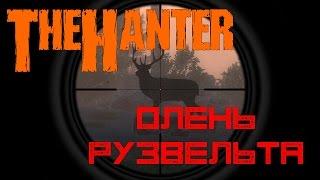 The Hunter | Охота | Олень Рузвельта