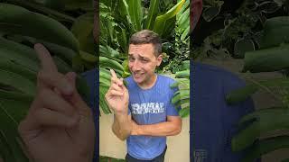 Burger King Secret Flavor Gone Wrong