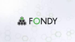 About FONDY — Unified Payment Platform