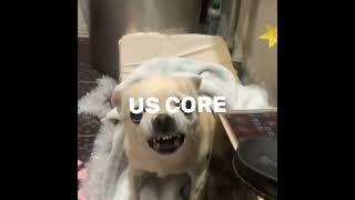 лёля️️️#core#стрейкидс#хочуврек#straykids#tiktok#kpop#dog#собака#лёля#врек#врекомендации#вреки#ты