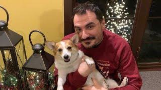 BEST OF KRIPPARRIAN IN 2018 - Hearthstone