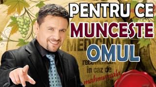 Nicu Paleru - Pentru ce munceste omul (muzica de petrecere 2015)