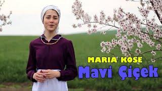 MARIA KÖSE MAVİ ÇİÇEK GAGAVUZ MÜZİĞİ