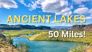 ULTRA RUNNING: Ancient Lakes 50Miler