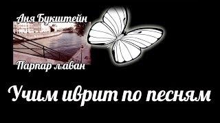 #6 минутка иврита — Аня Букштейн "парпар лаван"
