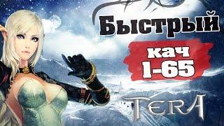 TERA online (RU) - Быстрый кач 1-65 за 15-25 часов (от канала Нимихо)