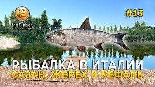 Рыбалка в Италии. Сазан, Жерех и Кефаль - theFisher Online #13