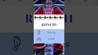 Learn LUNG SOUNDS with me 🫁‍️ #shorts #medstudent #medicalschool