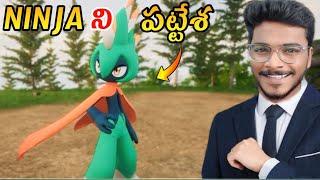 FINALLY I CAPTURED ROBINQUILL IN PALWORLD | PALWORLD | PALWORLD GAMEPLAY IN TELUGU #8