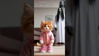 The orange cat mother became a ghost #memes #cat #comedy #cute #catlovers #cutecat #funny #pets